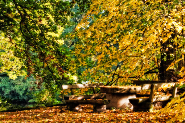 Picknickplatz