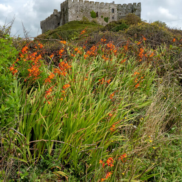 Manorbier Castle
